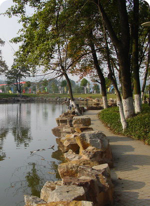 图书馆